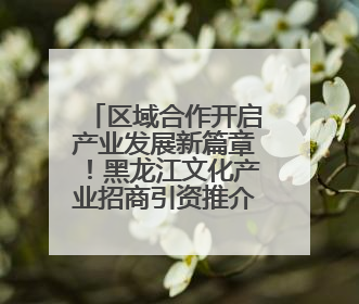 区域合作开启产业发展新篇章！黑龙江文化产业招商引资推介会闪耀深圳文博会