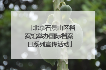 北京石景山区档案馆举办国际档案日系列宣传活动