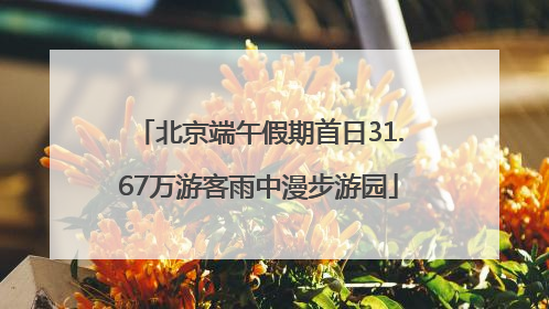 北京端午假期首日31.67万游客雨中漫步游园