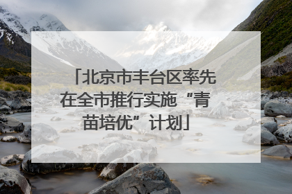 北京市丰台区率先在全市推行实施“青苗培优”计划