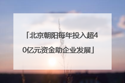 北京朝阳每年投入超40亿元资金助企业发展