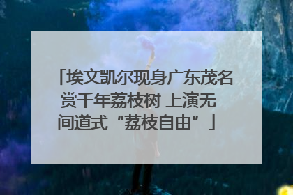 埃文凯尔现身广东茂名 赏千年荔枝树 上演无间道式“荔枝自由”