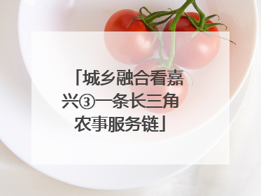 城乡融合看嘉兴③一条长三角农事服务链