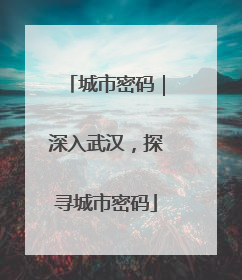 城市密码｜深入武汉，探寻城市密码