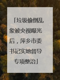 垃圾偷倒乱象被央视曝光后，萍乡市委书记实地督导专项整治