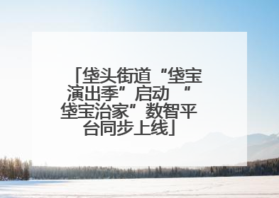 垡头街道“垡宝演出季”启动 “垡宝治家”数智平台同步上线