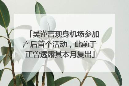 吴谨言现身机场参加产后首个活动，此前于正曾透露其本月复出