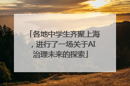 各地中学生齐聚上海，进行了一场关于AI治理未来的探索