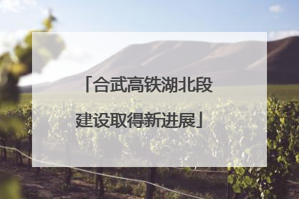 合武高铁湖北段建设取得新进展