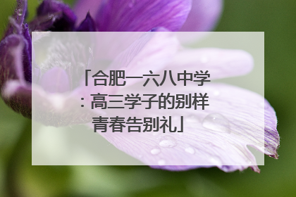 合肥一六八中学：高三学子的别样青春告别礼