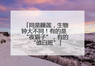 同是睡莲，生物钟大不同！有的是“夜猫子”，有的“值白班”