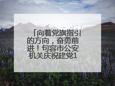 向着党旗指引的方向，奋勇前进！句容市公安机关庆祝建党104周年大会