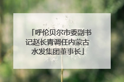 呼伦贝尔市委副书记赵长青调任内蒙古水发集团董事长