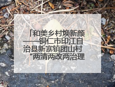 和美乡村焕新颜——铜仁市印江自治县新寨镇团山村“两清两改两治理”见闻
