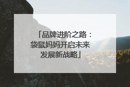 品牌进阶之路：袋鼠妈妈开启未来发展新战略
