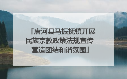 唐河县马振抚镇开展民族宗教政策法规宣传 营造团结和谐氛围