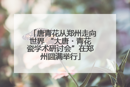 唐青花从郑州走向世界 “大唐・青花瓷学术研讨会”在郑州圆满举行
