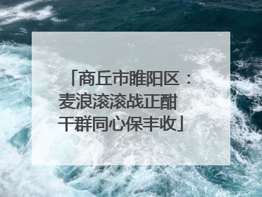 商丘市睢阳区：麦浪滚滚战正酣 干群同心保丰收