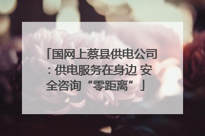 国网上蔡县供电公司：供电服务在身边 安全咨询“零距离”