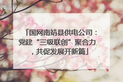 国网南靖县供电公司：党建“三级联创”聚合力，共促发展开新篇