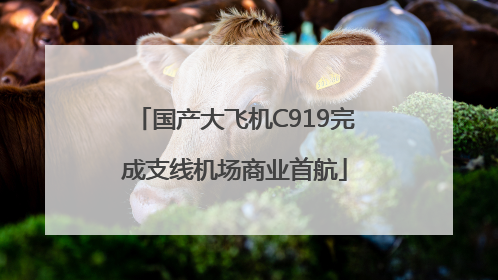 国产大飞机C919完成支线机场商业首航
