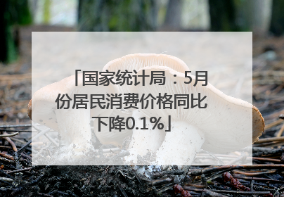 国家统计局：5月份居民消费价格同比下降0.1%