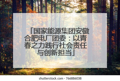 国家能源集团安徽合肥电厂团委：以青春之力践行社会责任与创新担当