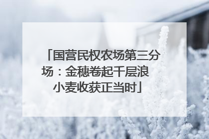 国营民权农场第三分场：金穗卷起千层浪 小麦收获正当时