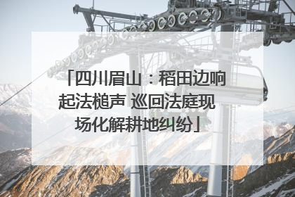 四川眉山：稻田边响起法槌声 巡回法庭现场化解耕地纠纷