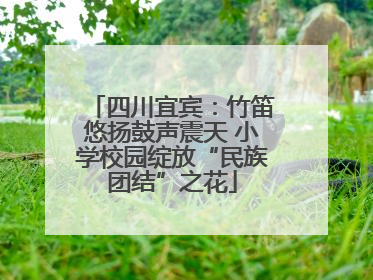 四川宜宾：竹笛悠扬鼓声震天 小学校园绽放“民族团结”之花