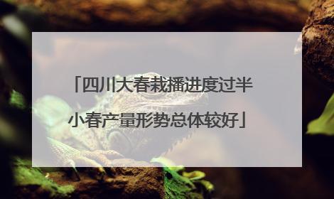 四川大春栽播进度过半 小春产量形势总体较好
