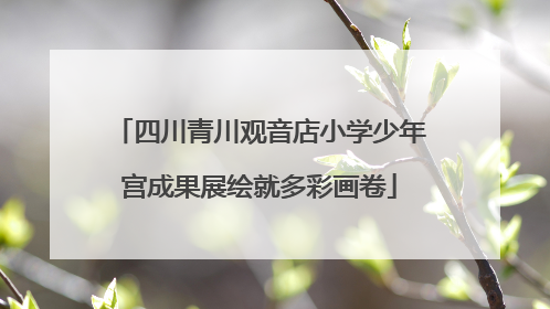 四川青川观音店小学少年宫成果展绘就多彩画卷