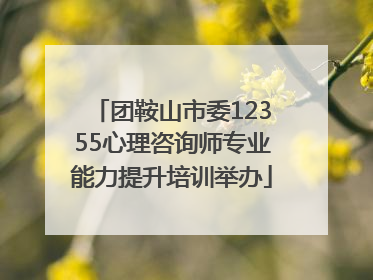 团鞍山市委12355心理咨询师专业能力提升培训举办