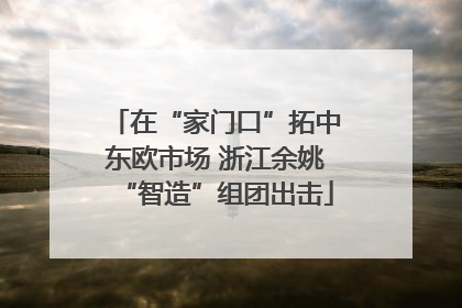 在“家门口”拓中东欧市场 浙江余姚“智造”组团出击