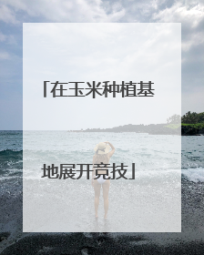 在玉米种植基地展开竞技