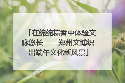 在绵绵粽香中体验文脉悠长——郑州文博织出端午文化新风景