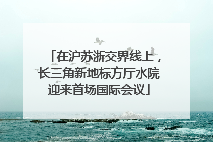 在沪苏浙交界线上，长三角新地标方厅水院迎来首场国际会议