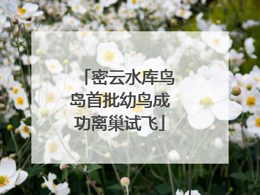 密云水库鸟岛首批幼鸟成功离巢试飞