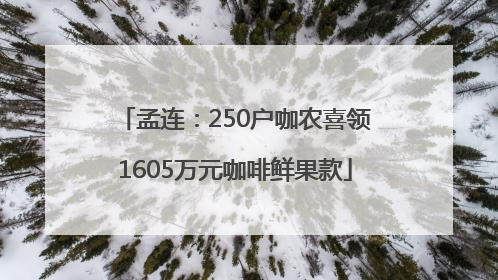 孟连：250户咖农喜领1605万元咖啡鲜果款