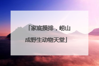 家底摸排，崂山成野生动物天堂