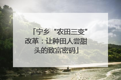 宁乡“农田三变”改革:让种田人尝甜头的致富密码