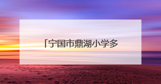宁国市鼎湖小学多措并举开展防溺水安全教育系列活动