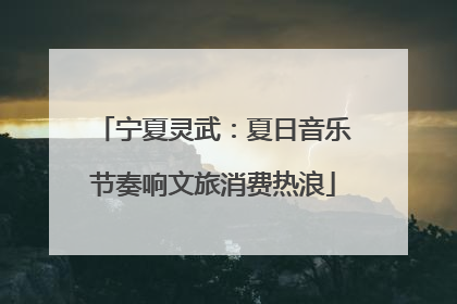 宁夏灵武：夏日音乐节奏响文旅消费热浪
