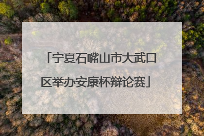 宁夏石嘴山市大武口区举办安康杯辩论赛