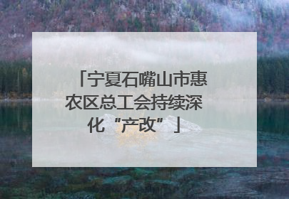 宁夏石嘴山市惠农区总工会持续深化“产改”
