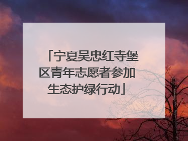 宁夏吴忠红寺堡区青年志愿者参加生态护绿行动