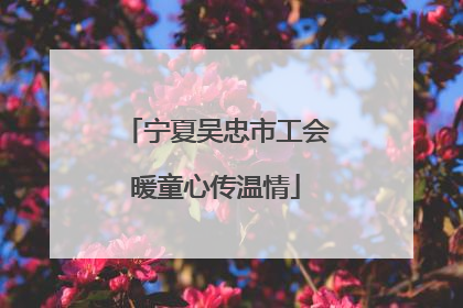 宁夏吴忠市工会暖童心传温情