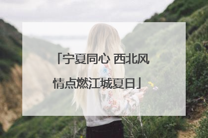 宁夏同心 西北风情点燃江城夏日