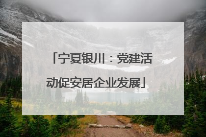 宁夏银川：党建活动促安居企业发展