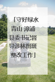 守好绿水青山 漳浦县委书记督导涉林图斑整改工作